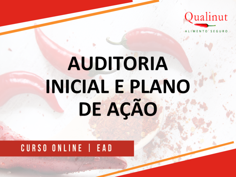 Auditoria inicial e elaboração de plano de ação